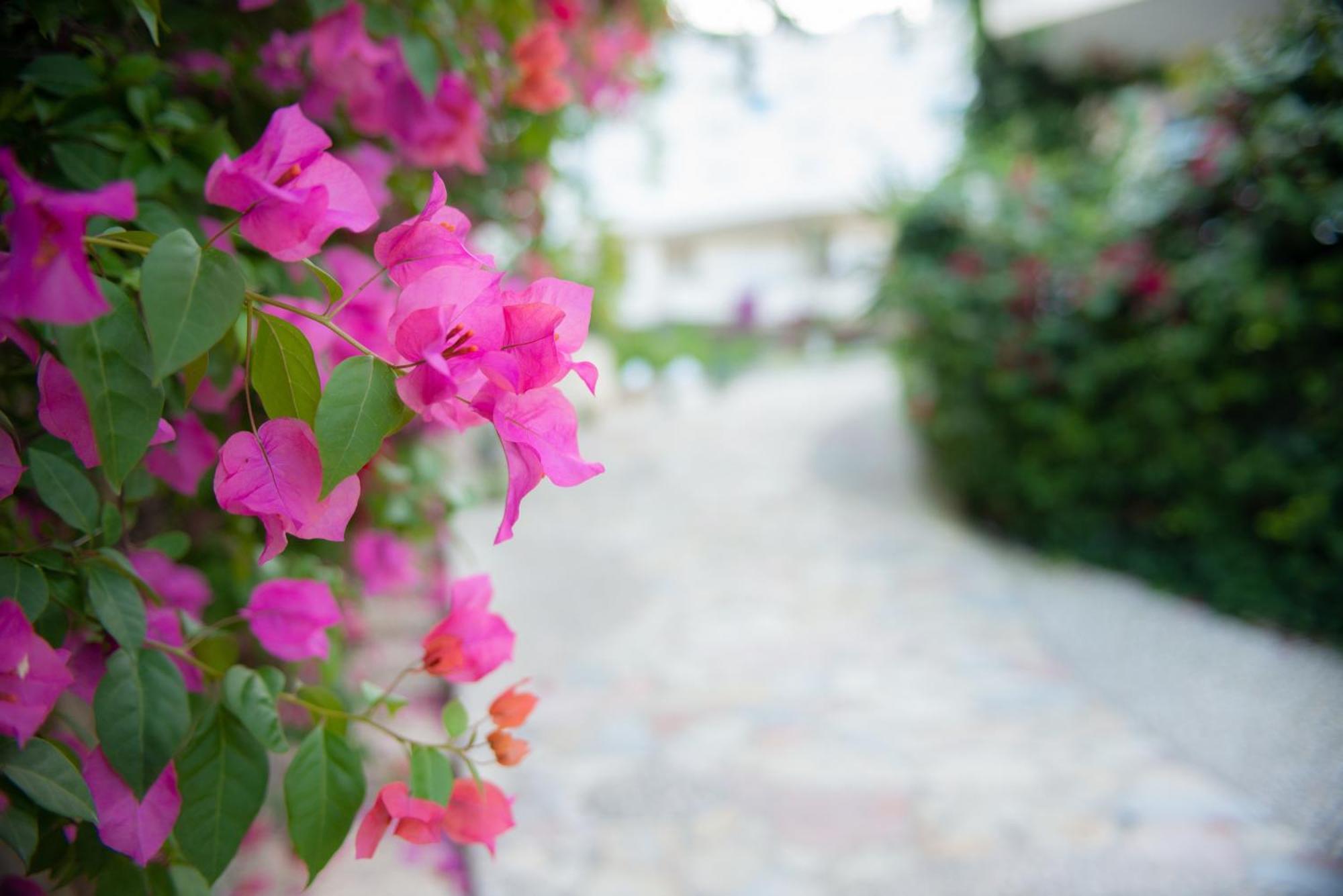 Bougainville Bay Apartments Sarandë Exterior foto